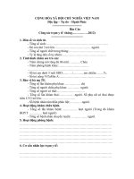 mau bao cao tram y te pot