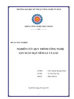 nghiên cứu quy trình công nghệ sản xuất hạt nêm từ gà và gấc