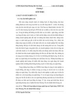 phân tích hoạt động tín dụng ngắn hạn tại ngân hàng tmcp sài gòn thương tín chi nhánh kiên giang