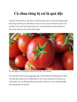 Cà chua từng bị coi là quả độc potx