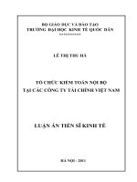 tổ chức kiểm toán nội bộ tại các công ty tài chính việt nam