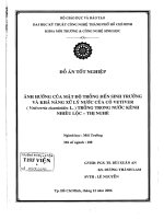 Luận văn:Ảnh hưởng của mật độ trồng đến sinh trưởng và khả năng xử lý nước của cỏ vetiver docx