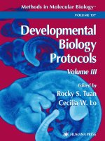 developmental biology protocols - rocky s. tuan and cecilia w. lo
