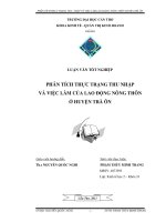 phân tích thực trạng thu nhập và việc làm của lao động nông thôn ở huyện trà ôn