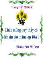 Bài giảng: Cảnh ngày hè của Nguyễn Trãi