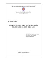 Nghiên cứu chế biến thử nghiệm sản phẩm nước cà rốt - dưa leo