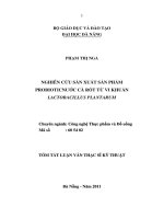 Luận văn:Nghiên cứu sản xuất sản phầm probiotic nước cà rốt từ vi khuẩn lactobacillus plantarum docx