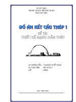 Thiết kế mạng dầm thép