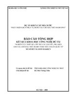 Nghiên cứu thiết kế, chế thử các chi tiết, phụ kiện cho tàu chở dầu thô 100 000t theo tiêu chuẩn quốc tế