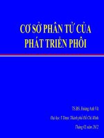 CƠ SỞ PHÂN TỬ CỦA PHÁT TRIỂN PHÔI ppt