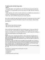 Ý nghĩa của 26 chỉ tiêu trong nước. doc