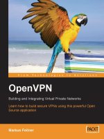 openvpn - building and integrating virtual private networks