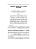 conditional random fields for object recognition