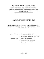 Đề tài : Hệ thống giám sát tài chính quốc gia