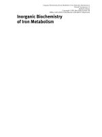 inorganic biochemistry of iron metabolism