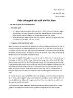 Phân tích ngành sản xuất bia Việt Nam