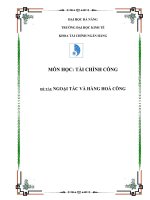 HÀNG HÓA CÔNG - CÁCH PHÂN LOẠI - ĐẶC TRƯNG - AI NÊN CUNG CẤP HÀNG HÓA CÔNG VÀ VẤN ĐỀ NGOẠI TÁC