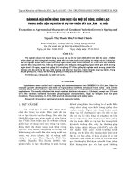 ĐÁNH GIÁ ĐẶC ĐIỂM NÔNG SINH HỌC CỦA MỘT SỐ DÒNG, GIỐNG LẠC TRONG ĐIỀU KIỆN VỤ XUÂN VÀ VỤ THU TRÊN ĐẤT GIA LÂM - HÀ NỘI docx