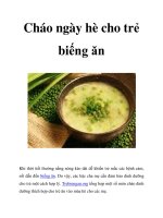 Cháo ngày hè cho trẻ biếng ăn pdf
