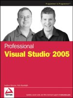 professional visual studio
