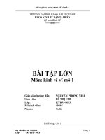 lý thuyết về chính sách tiền tệ và đánh giá việc thực hiện chính sách tiền tệ của việt nam thời kỳ 2006 – 2008