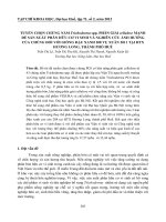 TUYỂN CHỌN CHỦNG NẤM Trichoderma spp. PHÂN GIẢI cellulose MẠNH ĐỂ SẢN XUẤT PHÂN HỮU CƠ VI SINH VÀ NGHIÊN CỨU ẢNH HƯỞNG CỦA CHÚNG ĐỐI VỚI GIỐNG ĐẬU XANH 208 VỤ XUÂN 2011 TẠI HTX HƯƠNG LONG, THÀNH PHỐ HUẾ pptx