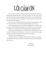 đề tài “hoàn thiện công tác kế toán nguyên vật liệu tại công ty trách nhiệm hữu hạn công nghiệp cica