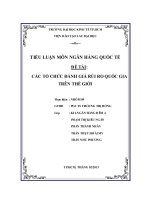 Các tổ chức đánh giá rủi ro quốc gia trên thế giới