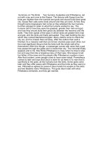 summary on the birds