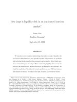 giot and grammig-how large is liquidity risk in an automated auction market
