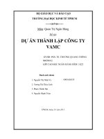 Dự án thành lập công ty VAMC