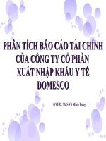 PHÂN TÍCH BÁO CÁO TÀI CHÍNH CỦA CÔNG TY CỔ PHẦN XUẤT NHẬP KHẨU Y TẾ DOMESCO pdf