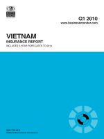 vietnam insurance report q1 2010