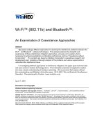 An Examination of Coexistence Approaches