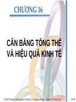 bài giảng kinh tế vi mô - chương xvi cân bằng tổng thể và hiệu quả kinh tế
