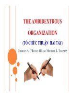 tiểu luận the ambidextrous organization (tổ chức thuận hai tay)