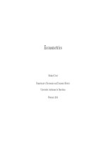 Econometrics
