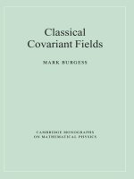 burgess m. classical covariant fields
