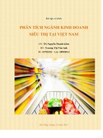PHÂN TÍCH NGÀNH KINH DOANH SIÊU THỊ TẠI VIỆT NAM