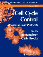 cell cycle control mechanisms and protocols methods in molecular biology - tim humphrey, gavin brooks