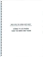 báo cáo tài chính hợp nhất của công ty cổ phần vận tải biển việt nam
