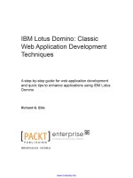 ibm lotus domino