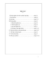 Giải pháp nâng cao chất lượng môn ngữ văn 6 thông qua giảng dạy môn tiếng việt