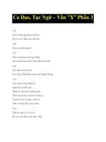 Ca Dao, Tục Ngữ – Vần ”X” Phần 3 potx