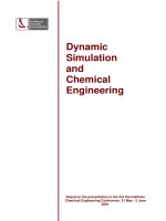 dynamic simulation and chemical engineering