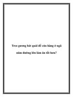 Treo gương bát quái để cửa hàng ở ngã năm đường lớn làm ăn tốt hơn? pot