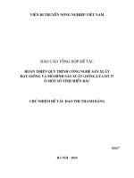 hoàn thiện quy trình công nghệ sản xuất hạt giống và mô hình sản xuất giống lúa dt 37 ở một số tỉnh miền bắc