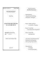 Giải bài toán phát hiện tín hiệu ra đa dựa vào dấu hiệu phân cực