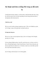 Kỹ thuật nuôi đơn cá hồng Mỹ trong ao đất nước lợ doc