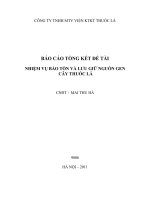 Nhiệm vụ bảo tồn và lưu giữ nguồn gen cây thuốc lá